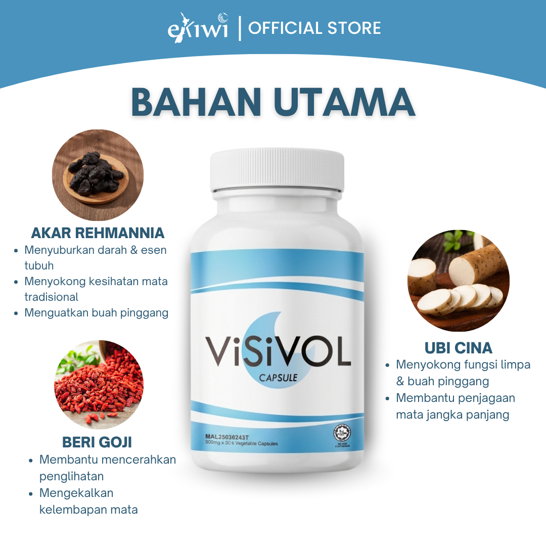Visivol - Image 3